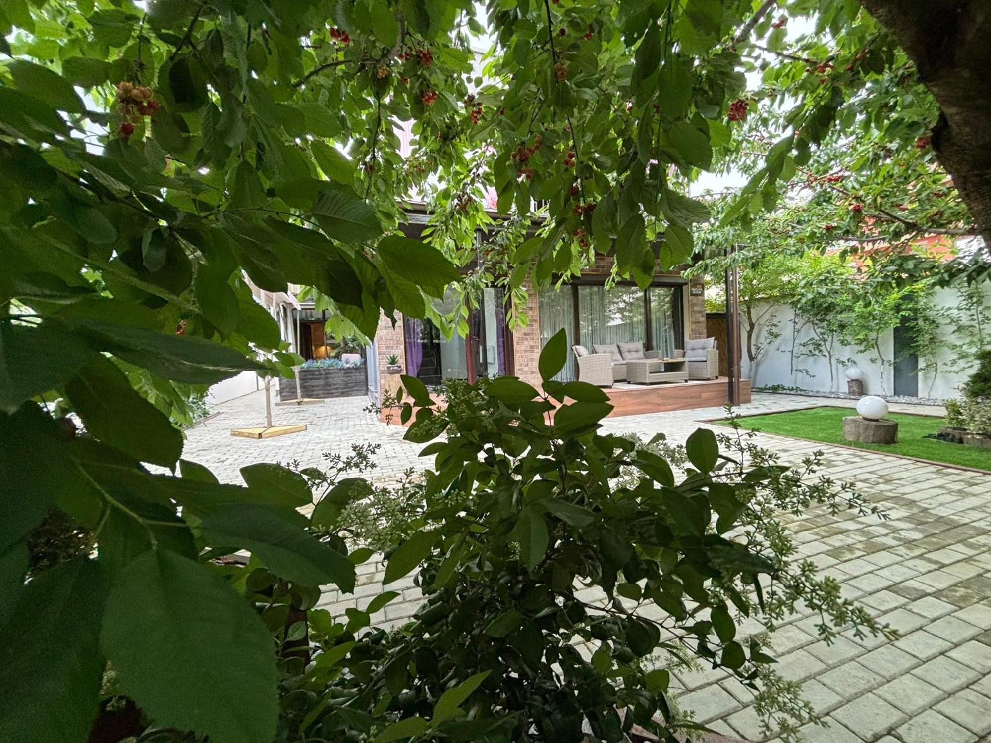 Hugo'S House Villa Costinesti Exterior photo